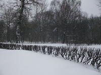 DSCF1105