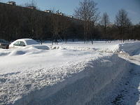 DSCF1133