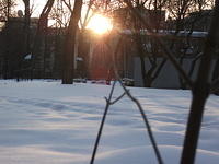 DSCF4794