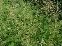 P6170909