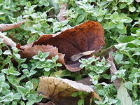 PB072799