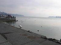 DSCN3231