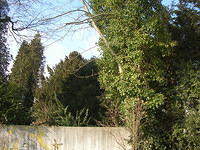 DSCN3237