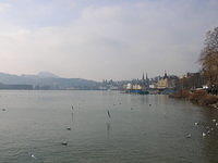DSCN3239