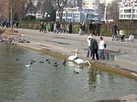 DSCN3241