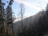 DSCN3299