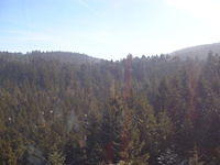 DSCN3304