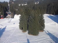 DSCN3362