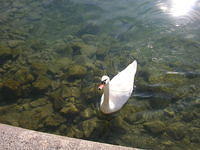 DSCN3383