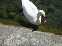 DSCN3384