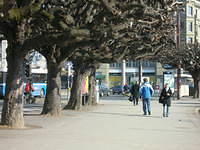 DSCN3387