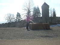DSCN3388