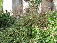 DSCN3392