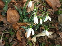 DSCN3396