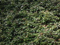 DSCN3398