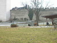 DSCN3399