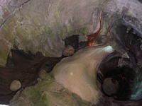 DSCN3406