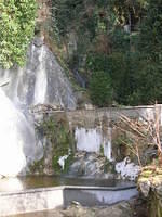 DSCN3422