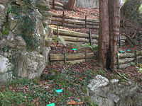 DSCN3424