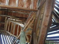 DSCN3426