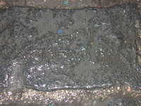 DSCN3457