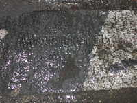 DSCN3458