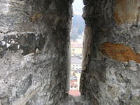 DSCN3511