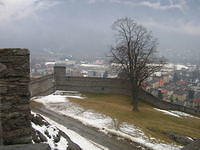 DSCN3529