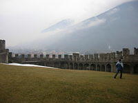 DSCN3531