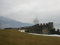 DSCN3534