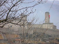 DSCN3566