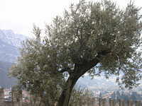 DSCN3573