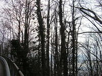 DSCN3596