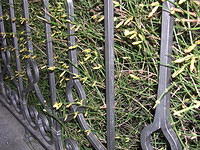 DSCN3624