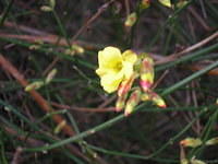 DSCN3631