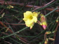 DSCN3632