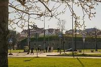  DSC5608