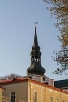  DSC5751