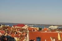  DSC5771