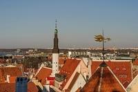  DSC5774