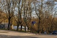  DSC5856