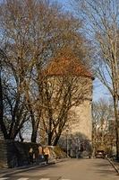  DSC5857