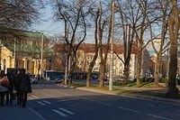  DSC5882