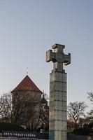  DSC5890