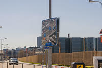 DSC5995