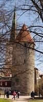 Untitled Panorama12 894481