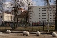  DSC1167