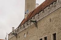  DSC1689