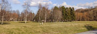 Untitled Panorama3
