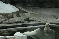  DSC0600